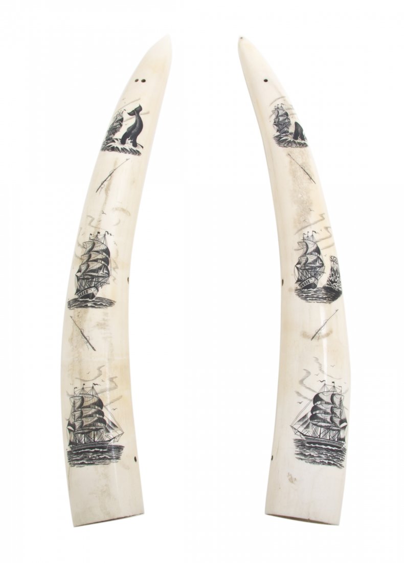 A Pair of Contemporary Scrimshaw Walrus Tusks, Len: A Pair of Contemporary Scrimshaw Walrus Tusks, each decorated with nautical and whaling scenes. Length of first 16 3/4 inches. Property from the Collection of Mr. Larry Whitlow, Oak Brook, Illinois