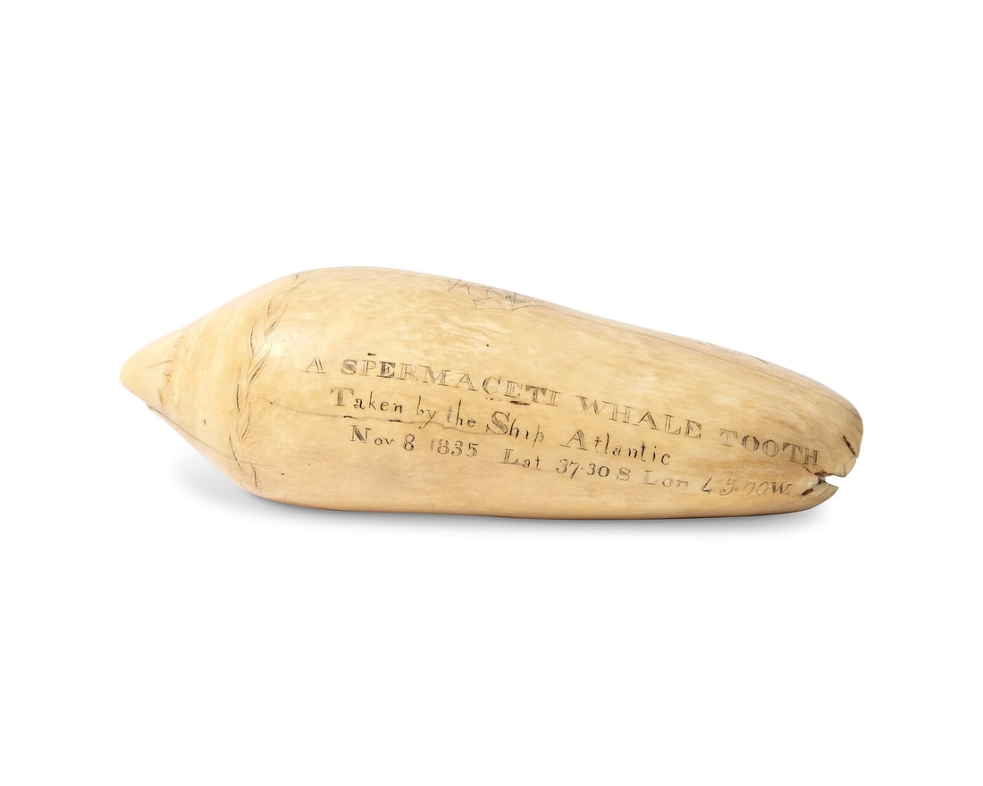 A Large Scrimshaw Whale Tooth Worked On The Whaler Atlantic: A Large Scrimshaw Whale Tooth Worked On The Whaler Atlantic Dated, "1835" inscribed, "A Spermaceti Whale Tooth Taken by the Ship Atlantic Nov 8 1835. Lat 37.30 S. Lon 45.90 W," and decorated with a li