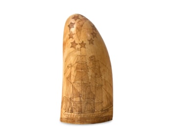 A Scrimshaw Whale Tooth
