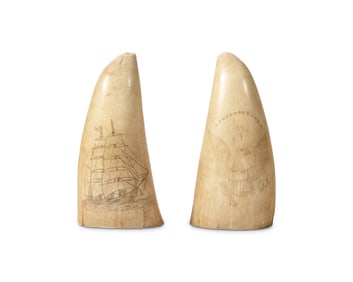 Two Small Scrimshaw Whale Teeth