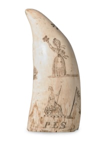 A Scrimshaw Whale Tooth