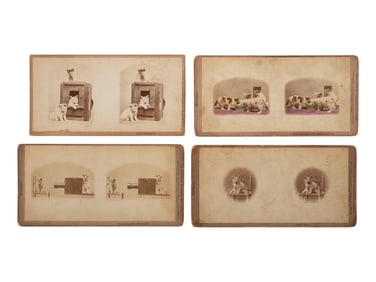 [EARLY PHOTOGRAPHY]. SOULE, John P. (1828-1904), photographer. 16 stereoviews of cats from the