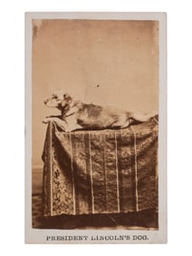 [LINCOLNIANA]. CDV of Abraham Lincoln's dog, Fido. Springfield, IL: F.W. Ingmire, ca 1861.
