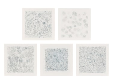 Tara Donovan (American, b. 1969) Untitled 1-V (complete set of 5), 2004
