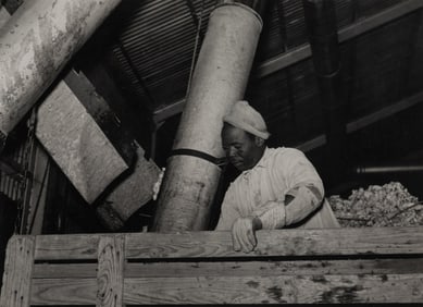 Marion Post Wolcott (American, 1910-1990) Taking the cotton from the truck into the gin through