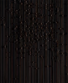 Marco Breuer (German, b. 1966) C-407, 2004