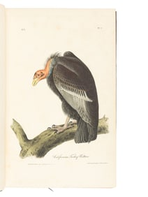 [AMERICANA]. AUDUBON, John James (1785-1851). The Birds of America, from Drawings Made in the United