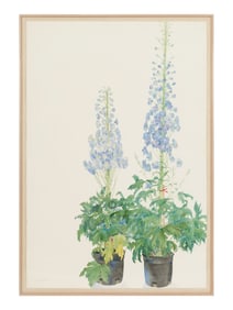 Gary Bukovnik (American, b. 1947) Delphinium, 1988