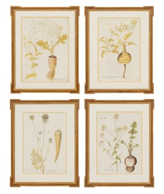A Set of Four Botanical Prints in Gilt Frames