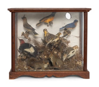 A Victorian Taxidermy Diorama
