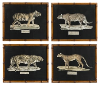A Collection of Four Large Cat Prints