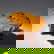 item-205420711=5