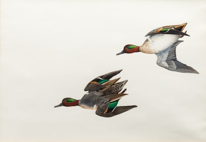 Stuart Gentling (American, 1942-2006) Green Wing Teal