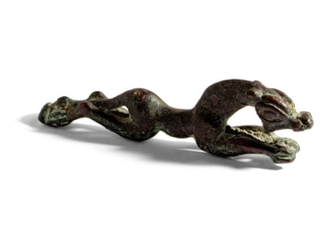 A Eurasian Bronze Panther
