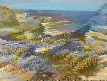 Carl Sammons (American, 1883-1968) Bush Lupin (Carmel Coast), 1944