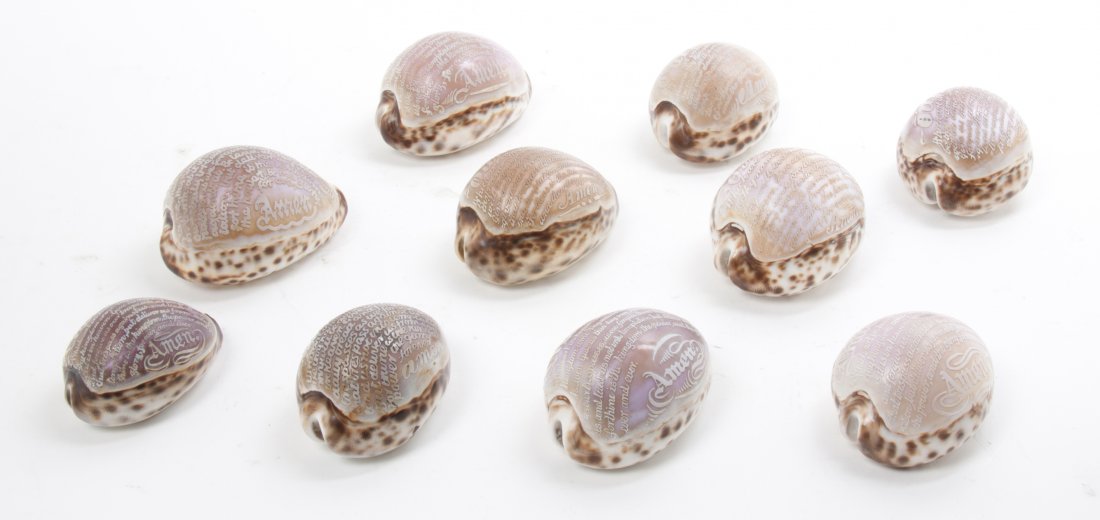 A Collection of Ten Cameo Cut Shells, Average width 3 1: A Collection of Ten Cameo Cut Shells, each inscribed with the Our Father. Average width 3 1/2 inches. Property from the Estate of Mr. Mark Fritz, West Bloomfield, Michigan