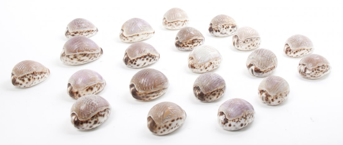 Twenty Carved Cameo Shells, Average width 3 1/2 inches.: Twenty Carved Cameo Shells, each with the Our Father inscribed. Average width 3 1/2 inches. Property from the Estate of Mr. Mark Fritz, West Bloomfield, Michigan
