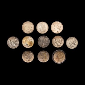 A Collection of Eleven Morgan and Peace $1 Coins