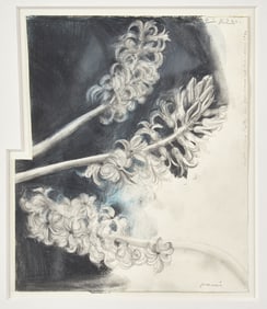 Jim Dine (American, b. 1935) Untitled (Hyacinths), 1991