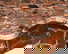 item-209266024=5
