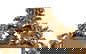 item-209266138=2