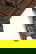 item-209266146=2