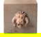 item-209266171=3