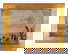 item-209298133=1