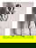item-209939294=1