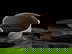 item-210013615=2