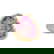 item-210464136=1