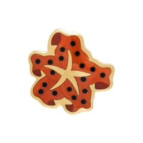 TIFFANY & CO., ANGELA CUMMINGS, YELLOW GOLD, CORAL, AND ONYX STARFISH BROOCH