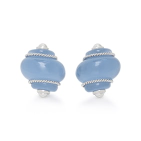 BLUE RESIN SHELL EARRINGS