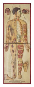 A Bi-Fold Paper and Wood "White's Physiological Manikin"