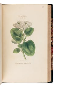 [Natural History] Duppa, Richard. The Classes and Orders of the Linnaean System of Botany