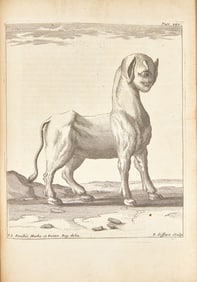 [Natural History] Feuillée, Louis. Journal des Observations Physiques, Mathematiques et