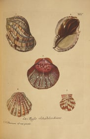 [Natural History] Knorr, Georg Wolfgang. Verlustiging der oogen en van den geest, of Verzameling van