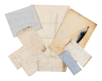 [Natural History] [Sowerby, James, et al.] Archive of Various Material, Including Manuscripts,