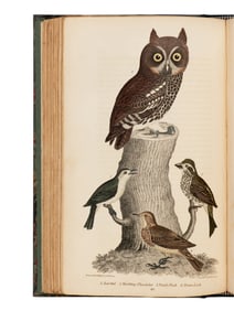 [Natural History] Wilson, Alexander, and Charles Lucian Bonaparte, and Sir William Jardine. American