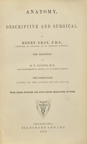 [Science, Medicine & Mathematics] Gray, Henry. Anatomy, Descriptive and Surgical