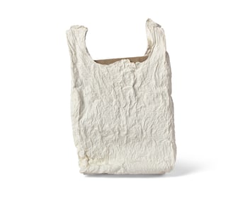 Analia Saban (Argentinian, b. 1980) Bag With Canvas #1, 2011