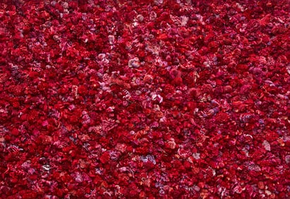 Xu Zhen (Chinese, b. 1978) Under Heaven--2232IO0511, 2015