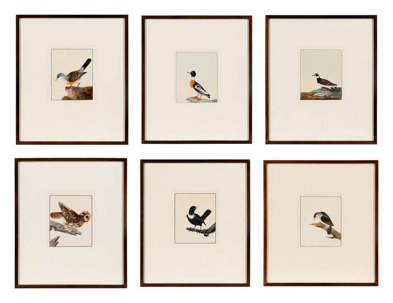 William Lewin
(British, 1747-1795)
Six Bird Portraits (1 of 14)