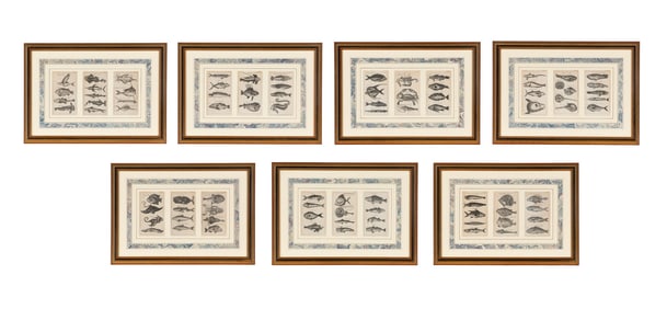 A Set of Seven Framed Groups of Ichthyological Engravings