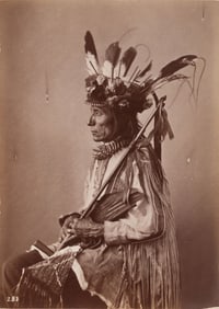 [GARDNER, Alexander (1821-1882), or William Henry JACKSON (1843-1942)]. Albumen photograph of