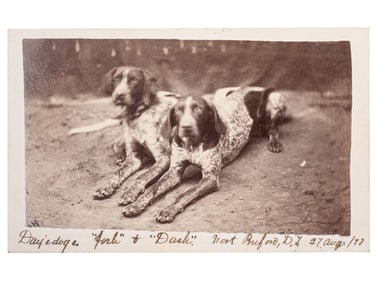 [INDIAN WARS]. CDV of two identified hunting dogs at Fort Buford, Dakota Territory, 27 August 1873.