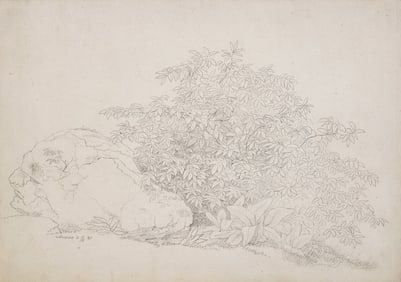 Adolf Kaiser (German, 1804-1861) Plant Study with Boulder in Lovere and Landscape in Lovere (two