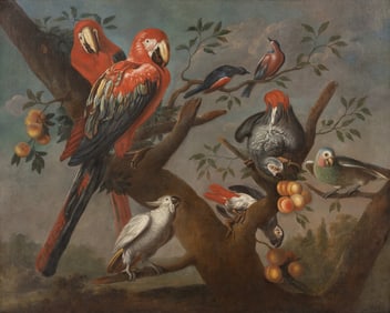 Circle of Jakob Bogdani (Hungarian, 1660-1724) Parrots and Other Birds Perched on a Tree, 1709