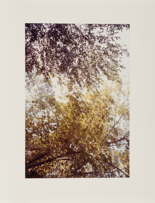 William Eggleston (American, b. 1939) Untitled, 1978: William Eggleston (American, b. 1939) Untitled, 1978 chromogenic print 10 1/8 x 15 inches. Property from the Museum of Fine Arts, Houston This lot is located in Denver. <