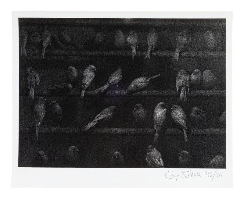 George Krause
(American, b. 1937)
Birds, Mexico, 1965; printed 1990 (1 of 2)